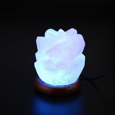 Rose Shape Natural Pink Himalayan Multi Color Salt Lamp